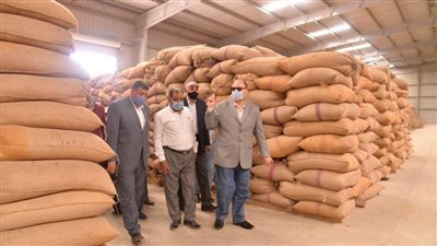 توريد 180 ألف طن قمح محلي للصوامع بأسيوط