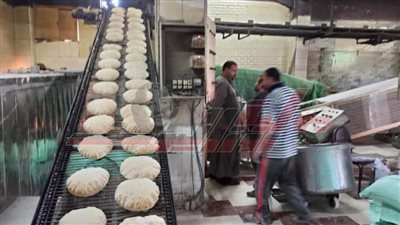 تحرير 302 محضر تموينى خلال يومين بـ”المنوفية“