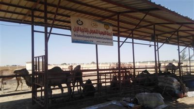 الزراعة تتابع دور محطة 