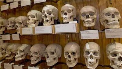 الجزائر تسترجع من فرنسا غدا رفات 24 من قادة المقاومة 