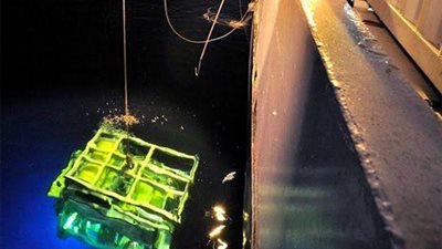 انتشال الصندوقين الأسودين للطائرة المصرية المنكوبة.. وتحليل البيانات يستغرق أسابيع