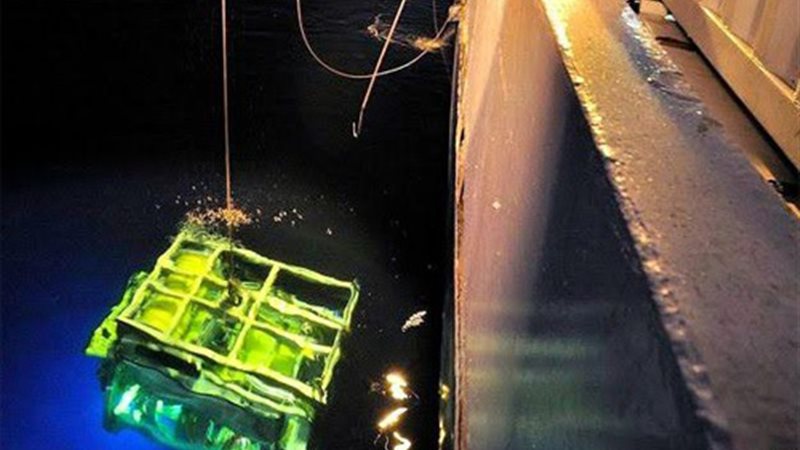 انتشال الصندوقين