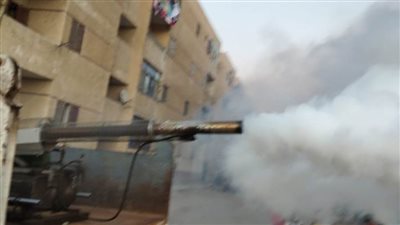 توزيع ١٠٠٠ كرتونة مواد غذائية و٥٩ فيزا تكافل وكرامة لأهالي القنطرة غرب الإسماعيلية 