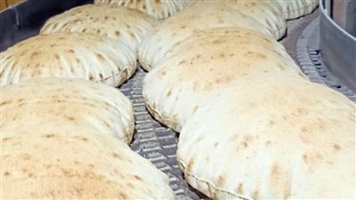 إحالة 29 قضية تموينية بالدقهلية للنيابة العامة