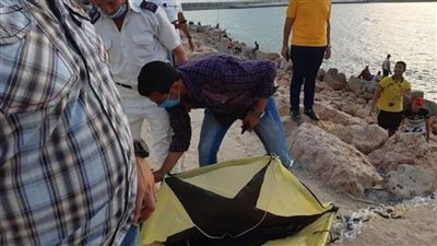 حظر الطائرات الورقية وضبط أصحاب الكلاب غير المرخصة بكورنيش الإسكندرية