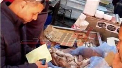 ضبط لحوم وأسماك فاسدة وتحرير 167 محضرا تموينيا بـ”المنوفية“