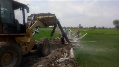 إزالة 6 حالات تعدٍ على الأراضي الزراعية بالبحيرة