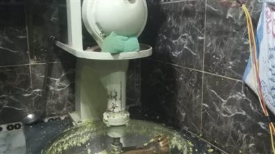 ضبط 2 طن مواد غذائية فاسدة بالدقهلية