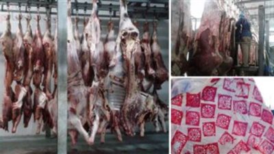 طوارئ بالمجازر استعدادا للأضحى