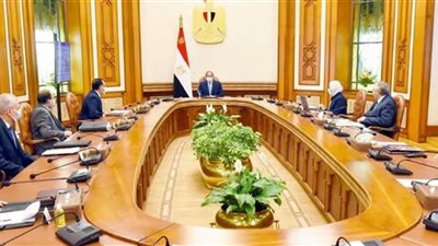  الرئيس السيسي يطلع علي تفاصيل المشروع القومي للاكتفاء الذاتي من مشتقات البلازما 