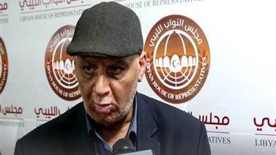 المستشار الإعلامي لرئاسة مجلس النواب الليبي: العمليات متوقفة قرب سرت
