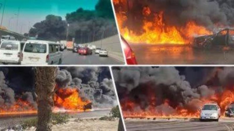 بوابة روز اليوسف