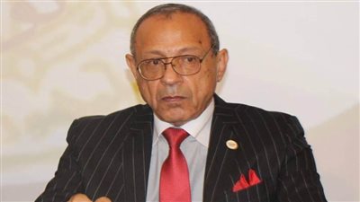 رئيس الحركة الوطنية: لقاء الرئيس بمشايخ وأعيان ليبيا رسالة للعالم بأن المصير واحد