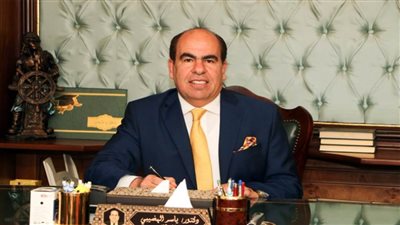 الهضيبي: مصر قادرة على حماية أمنها القومي