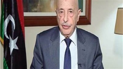 مستشار رئيس البرلمان الليبى: مؤتمر القبائل ضم كل المكونات الاجتماعية بليبيا