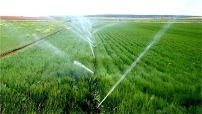 الحكومة: لا صحة للامتناع عن توفير حصص مياه الري اللازمة للزراعات