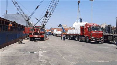 شعبة المستوردين: مبادرة تحفيز الاستهلاك سترفع المبيعات بنسبة 30%