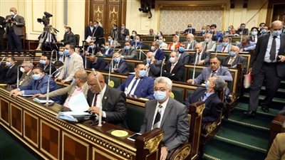 مجلس النواب.. الشعب ومؤسسات الدولة تدعم قرار البرلمان