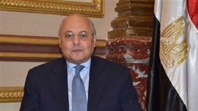 رئيس حزب الغد: موافقه البرلمان  على إرسال القوات في مهام خارجيه رسالة رادعة