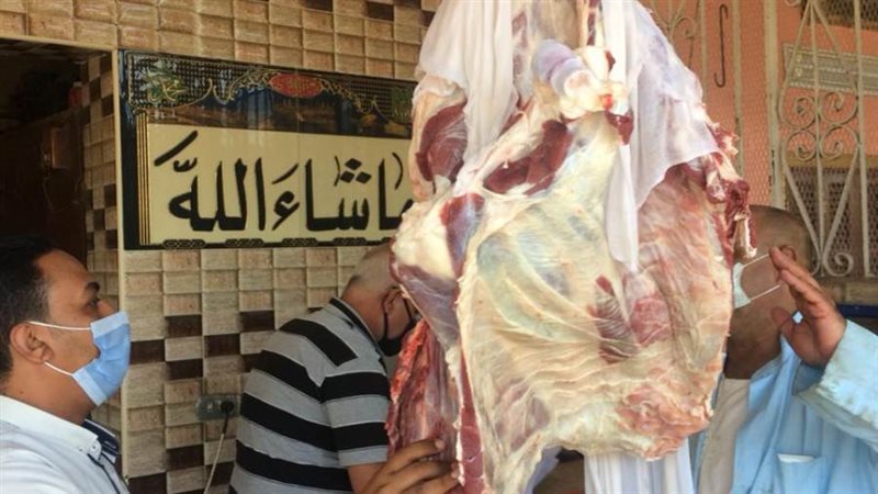 جانب من الحملة