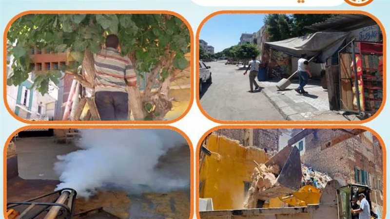 بوابة روز اليوسف