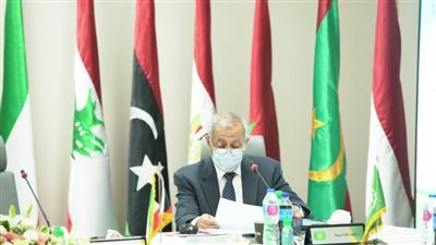 اجتماع المجلس التنفيذي للأكاديمية العربية للعلوم والتكنولوجيا والنقل البحري