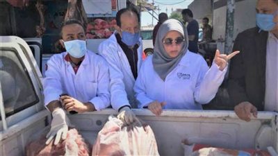 الأجهزة التنفيذية بالمحافظات تشن حملات لضبط السلع غير صالحة للاستهلاك الأدمي