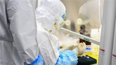 سنغافورة تسجل 513 إصابة جديدة بفيروس كورونا