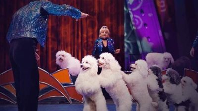 حفلتان يوميا للسيرك المصري الأوروبي في عيد الأضحى