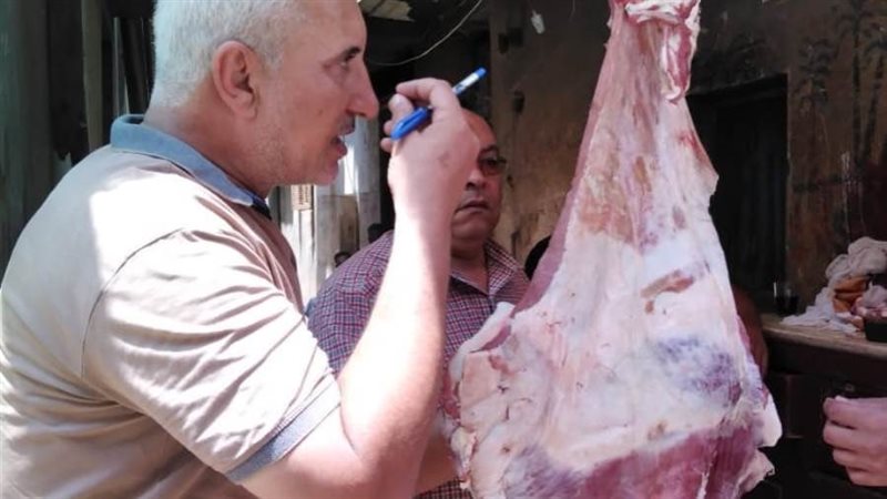 جانب من الحملة