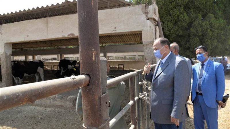 محافظ أسيوط يتفقد