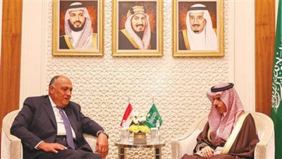 عاجل.. شكرى وبن فرحان يؤكدان عمق العلاقات المصرية السعودية