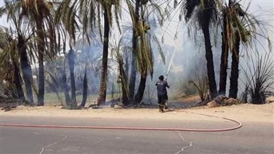 السيطرة على حريق في تجمعات للنخيل بنصر النوبة