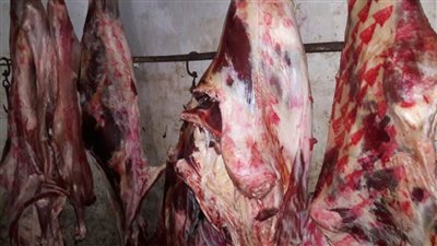 ضبط لحوم غير صالحة للاستهلاك داخل مجزر خاص بدمنهور