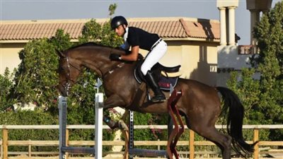 ختام ناجح للحلقة العاشرة لبطولة الجمهورية للفروسية