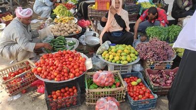 التموين: توافر جميع احتياجات العيد من اللحوم والسلع في شمال سيناء