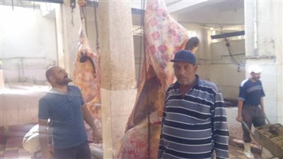 بيطري كفر الشيخ يكشف لـ