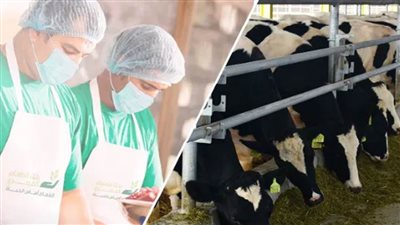 بنك الطعام يواصل تنفيذ برنامج صك الأضحية 