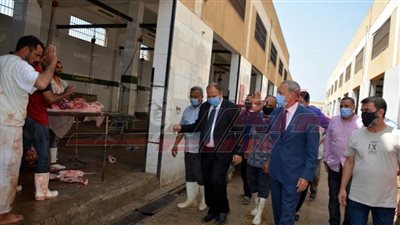 محافظ القليوبية يتابع تطبيق الإجراءات الاحترازية في أول أيام عيد الأضحى