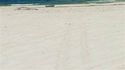 حملات أمنية لمنع المواطنين من نزول الشواطئ