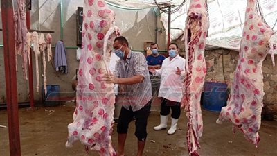 ذبح ١٣٠٠ أضحية مجانًا بمجازر الدقهلية
