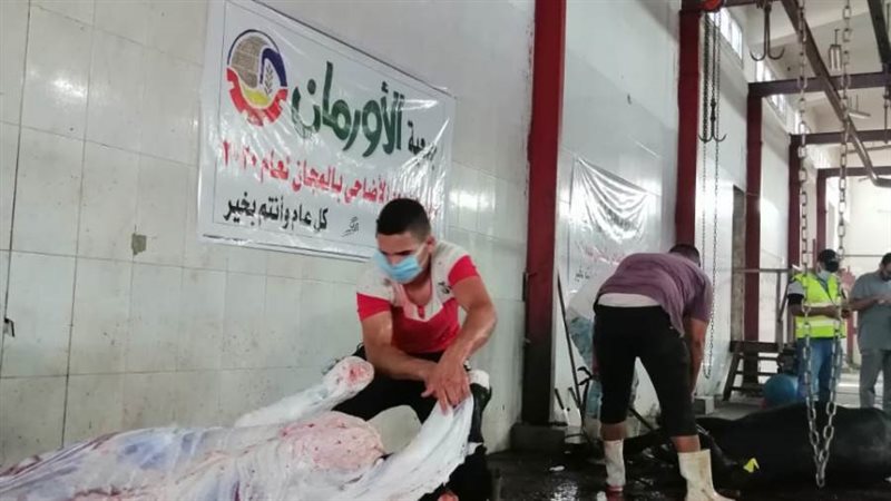 بوابة روز اليوسف