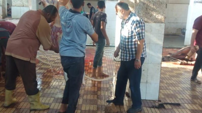 بوابة روز اليوسف