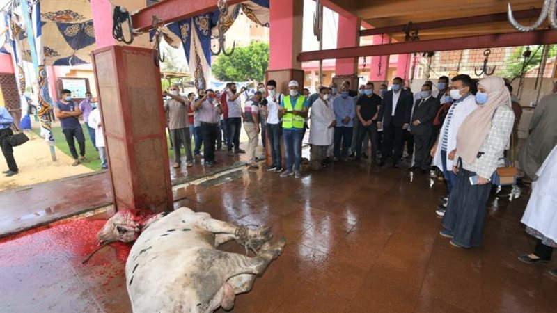 ذبح الأضاحي