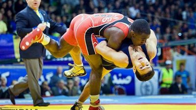 نجم المصارعة 