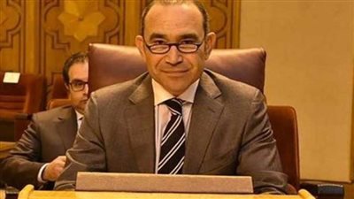 سفير مصر لدى ألمانيا : انتخابات الشيوخ استحقاق مهم في توقيت استثنائي