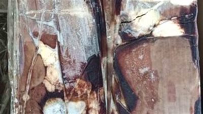 27 طن كبدة فاسدة داخل ثلاجة بالجيزة