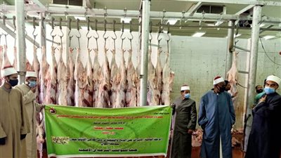 توزيع 10 أطنان من لحوم أضاحي الأوقاف للمديريات اليوم