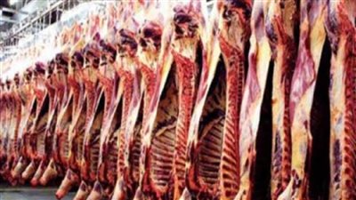 توزيع كميات كبيرة من لحوم الأضاحى على المستحقين بشمال سيناء  