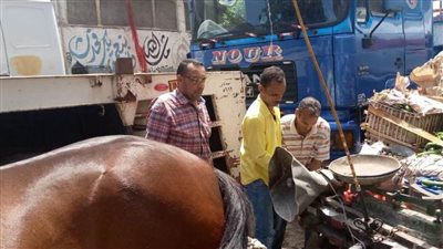  حملة لازاله الإشغالات والباعه الجائلين بغرب الاسكندرية